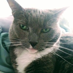 Meet your Posher, Ava